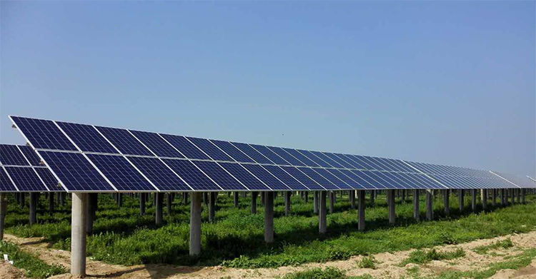Sunshine PV Han helps Vietnam Binh Thuan Province 49MW PV power plant project officially connected to the grid